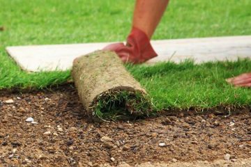 Bodrum Hazır Rulo Çim